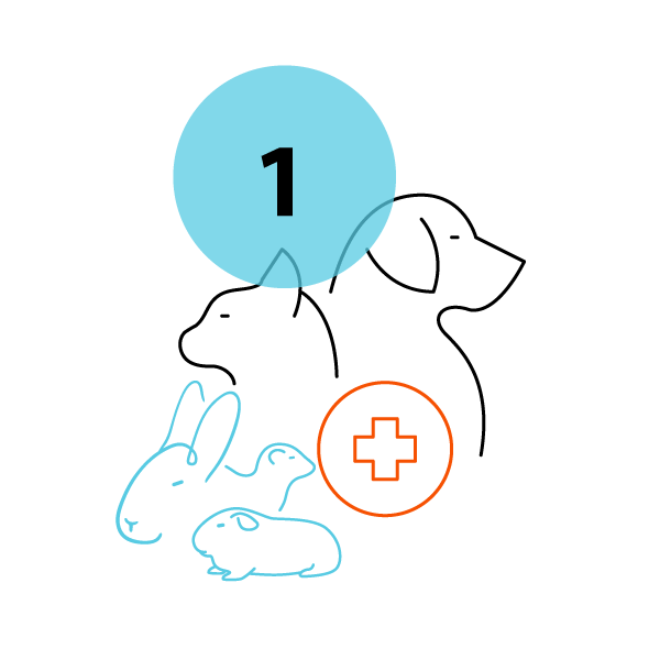 PawDoc Urgent Care Step 1 icon for Veterinary Care for Dogs, Cats and Pocket Pets