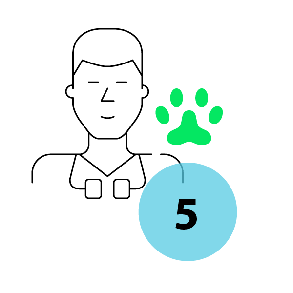 PawDoc Urgent Care Step 5 icon for Veterinary Care as quickly as possible