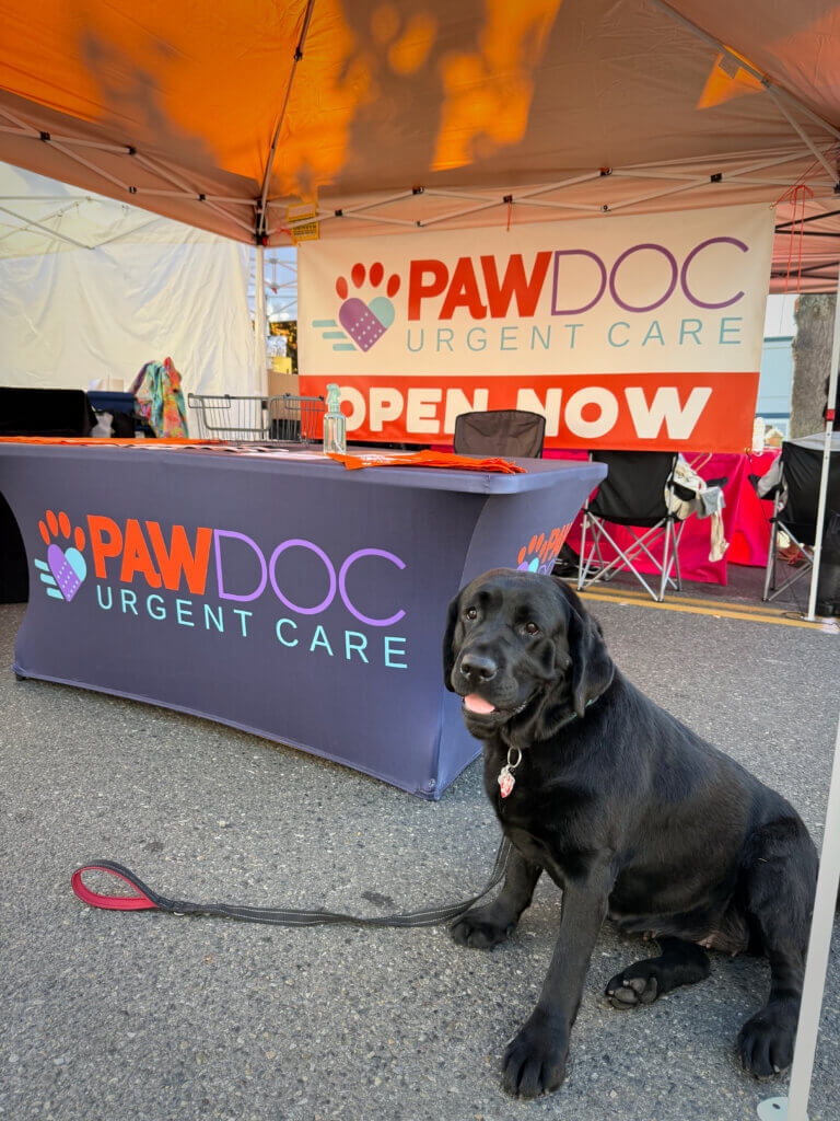 PawDoc Urgent Care Maritime Gig Festival