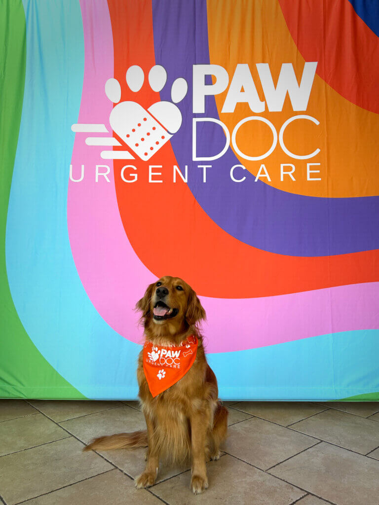 PawDoc Urgent Care Happy Pup