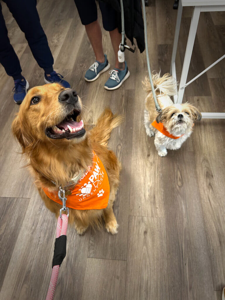 PawDoc Urgent Care Happy Puppers