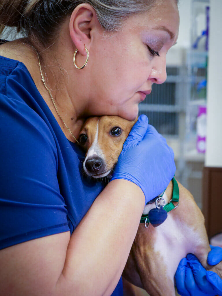 PawDoc Iggy Rescue Katy TX