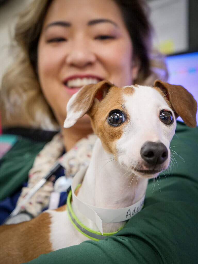 PawDoc Iggy Rescue Katy TX